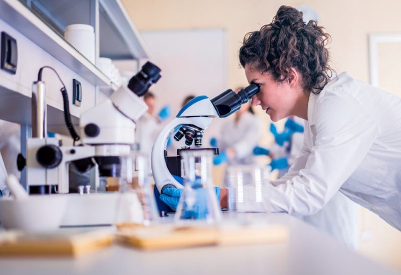 research stories